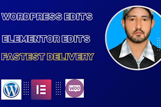 professionally edit and change wordpress your website