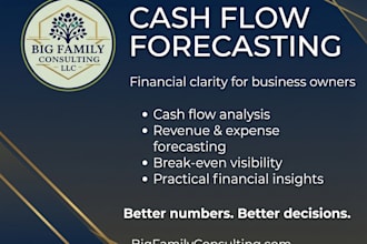 analyze your cash flow and build a financial forecasting model