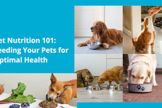 formulate custom pet food supplements and nutrition recipes