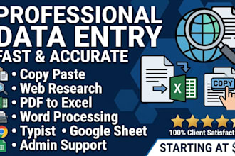do professional data entry and fast google sheets work