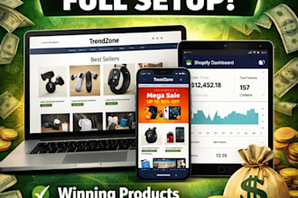 build a high converting shopify store ready to make money
