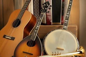 create high quality mandolin, folk guitar, banjo, and dobro parts for you