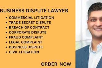 write commercial legal complaints for fraud, trade secret and dispute matters