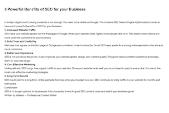 write SEO optimized articles and blog posts for any niche