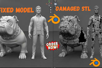 do stl file repair fix edit custom modification 3d scan cleanup for 3d printing