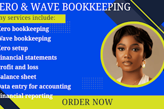xero bookkeeping, wave bookkeeping setup, and financial report, data entry