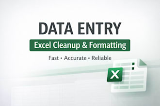 do accurate data entry, and excel cleanup