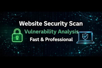 do basic vulnerability scanning and website security analysis