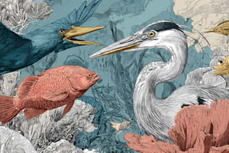 make scientific illustrations for you