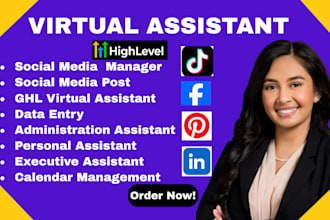 be your executive VA ghl CRM, lead generation email outreach, social media