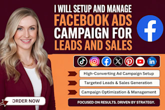 setup and manage facebook ads campaign for leads and sales