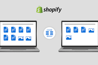 handle the shopify migration with all necessary details
