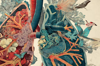 do high quality medical illustrations