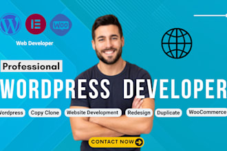 build copy clone wordpress website, custom wordpress website business website