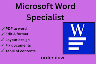 do professional ms word document formatting and layout design