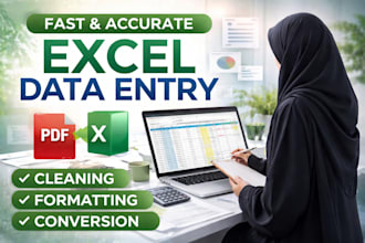 do accurate exel data entry, cleaning, formatting and typing work