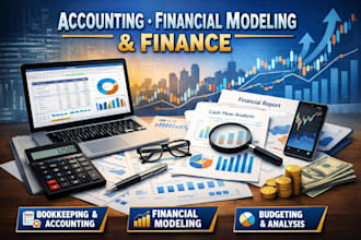 provide audit, accounting and financial reporting in excel
