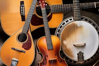 record professional mandolin, banjo, folk guitar, and fiddle for your song