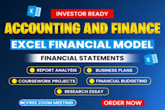do accounting and finance assign, financial statements, analysis excel models