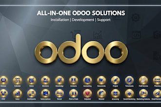do odoo erp customization, module development, and implementation
