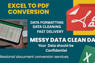 do formatting sorting and PDF to excel conversion