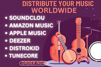 music distribution on spotify deezer itunes and all streaming major platforms