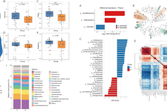 provide expert biostatistics bioinformatics analysis for medical and biological