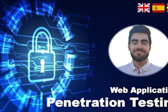 perform professional web application penetration testing