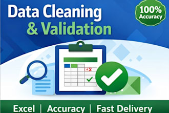 clean, validate and analyze your excel data professionally