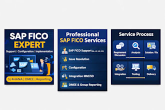 provide sap fico support, configuration and implementation services