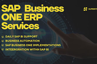 provide sap business one erp implementation and customization