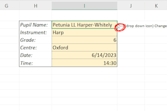 do dashboards using vlookup, remove duplicates, and organise
