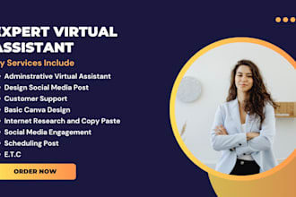 be administrative virtual assistant, shopify virtual assistant