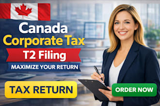 file canada corporation tax t2 t1 as CPA efile business tax