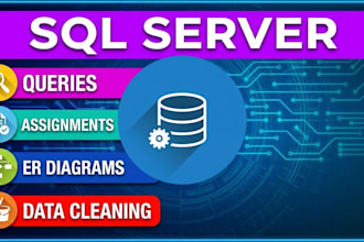 do sql assignments, queries, er diagrams and database design