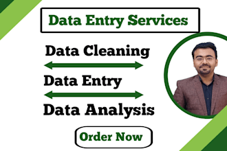 do excel data entry, data cleaning and data analysis