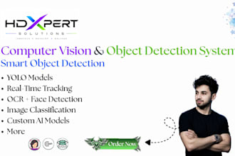 build a computer vision and object detection system