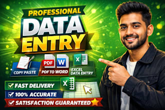 do professional data entry, copy paste, pdf to exel with fast typing