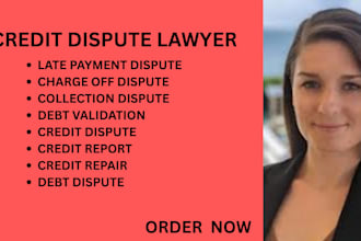 manage credit report disputes, debt collection issues and consumer law violation