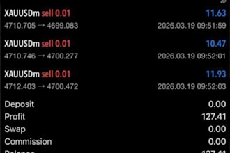 forex gold ea bot trading ea robot xauusd bot gold scalping ea robot forex robot