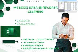do fast and accuracy data entry,data cleaning