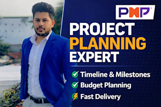 create a professional project plan