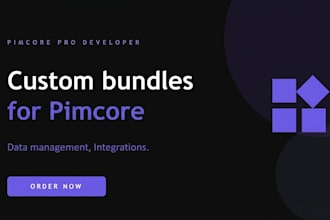 develop a custom pimcore module, bundle or integration