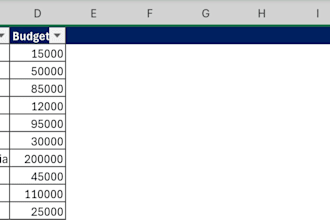 do accurate data entry excel, web research, and work