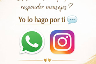 respond to your instagram and whatsapp messages professionally