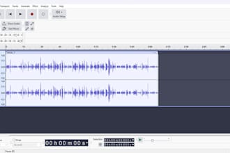 voice act in your videos