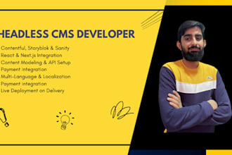 set up and develop a headless cms website