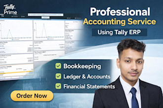 do accounting and bookkeeping in tally