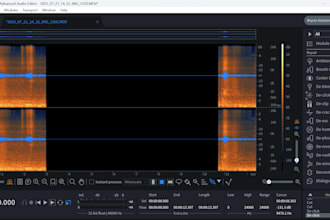 professionally produce, tune and mix your vocals