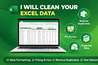 do excel data cleaning, formatting and data entry